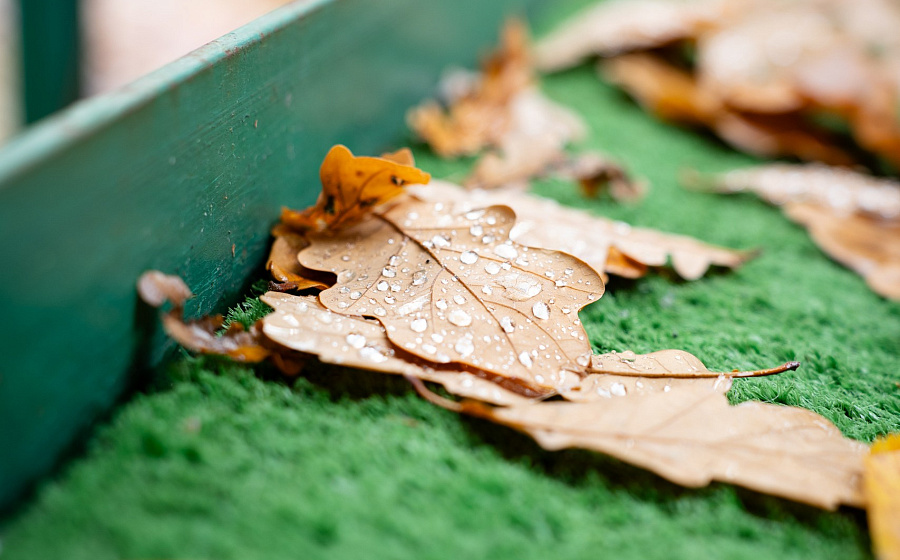 Территория и благоустройство